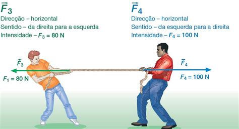 Portf Lio De Biomec Nica For A Resultante