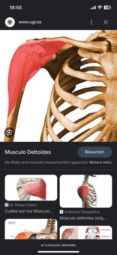 Bewegungsapparat Anatomie Basis Flashcards Quizlet