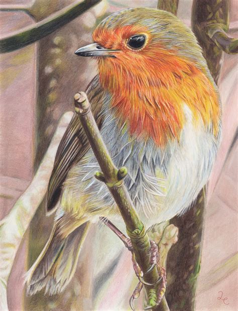 Wild Animals Love 💕 | I absolutely adore wildlife and being outside and