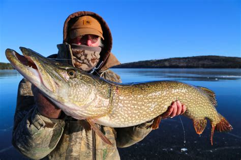 Best Baits for Ice Fishing Pike | MeatEater Fishing