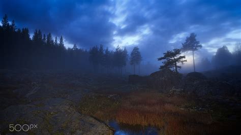 Clouds Plants Dark Trees Long Exposure Moss Forest Landscape