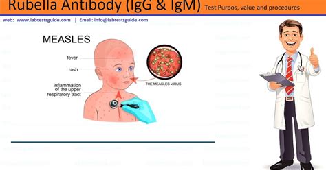 Rubella Antibody Test ~ Lab Tests Guide