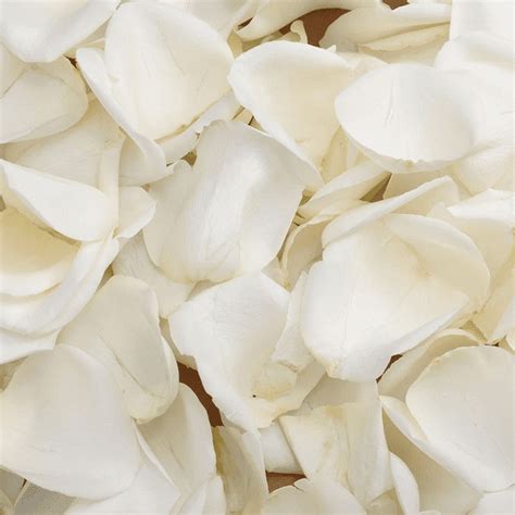 GlobalRose 5200 Fresh White Rose Petals - Real Petals with Fast ...