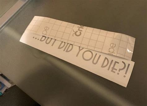 'But Did You Die?' Car Decal