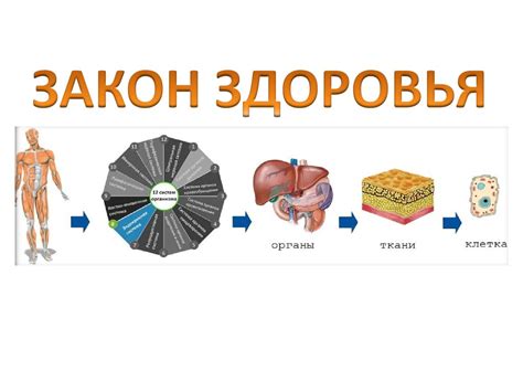 Концепция здоровья - online presentation