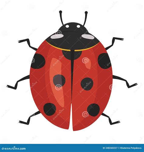 Cute Red Ladybug Icon With Black Spots Stock Vector Illustration Of