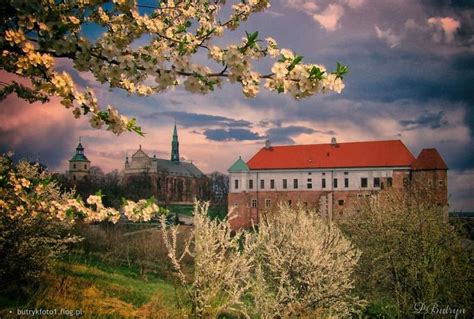 Historia Zamku Królewskiego w Sandomierzu Rezydencja Królewska MuzeOn