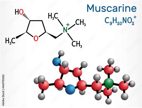 Muscarine Or Muscarin Molecule It Is Toxic Alkaloid Found In Amanita