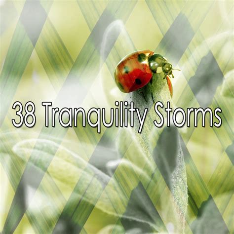 38 Tranquility Storms Album By Rain Man Sounds Spotify