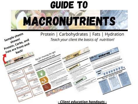 Guide To Macronutrients Protein Carbohydrates Fat Hydration Client Education Handout Well