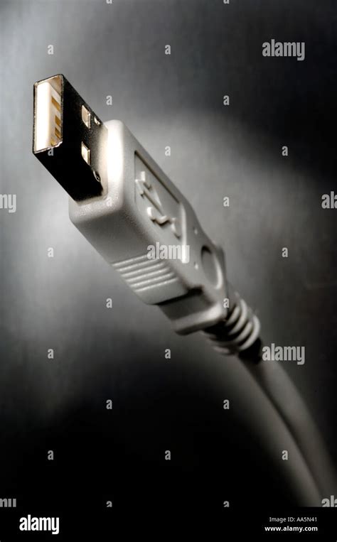 USB computer cable Stock Photo - Alamy