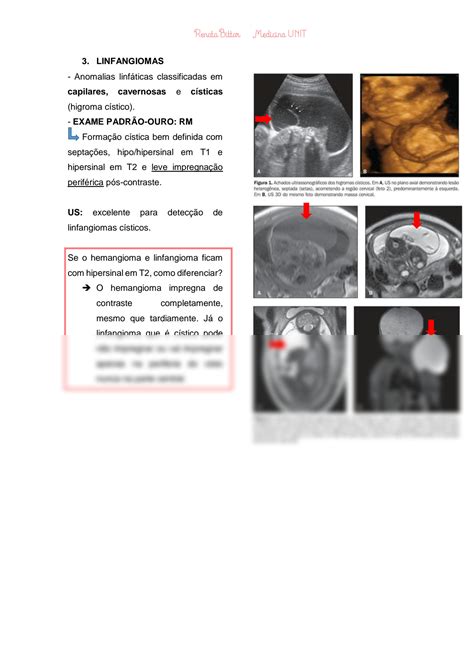 Solution Resumo De Imaginologia Patologias De Cabe A E Pesco O Studypool