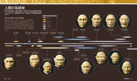 人類の進化 大図鑑｜河出書房新社