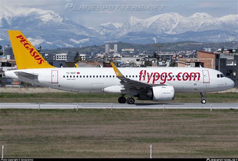 Tc Ncp Pegasus Airbus A N Photo By Sava Binici Id