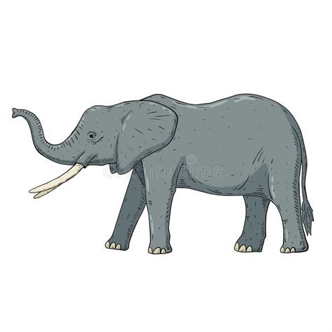 Elephant Cartoon Isolated On White Stock Illustration Illustration Of Cartoon Safari 328770024