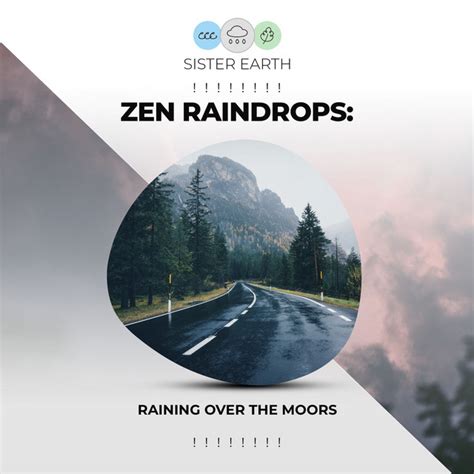 Zen Raindrops Raining Over The Moors Album By Calming S