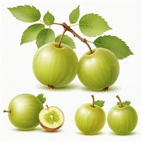 Gooseberry Cartoon Vector Set White Background Isolated Premium Ai