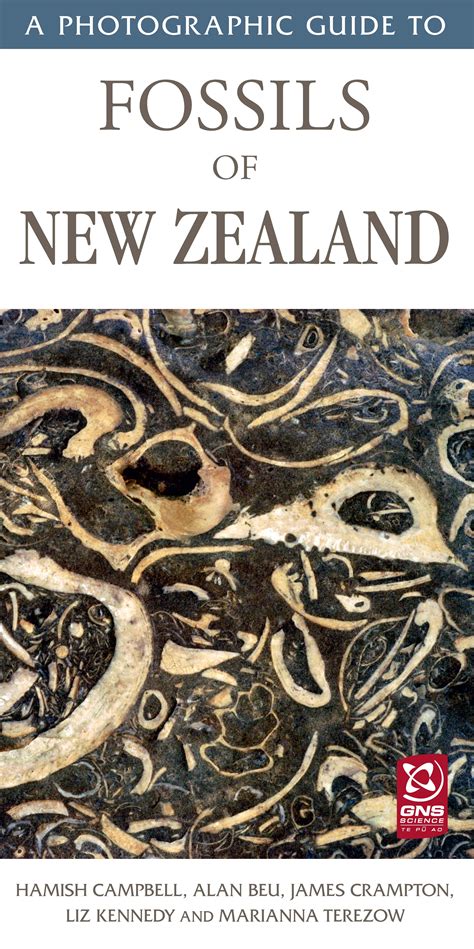 A Photographic Guide To Fossils Of New Zealand Upstart Press