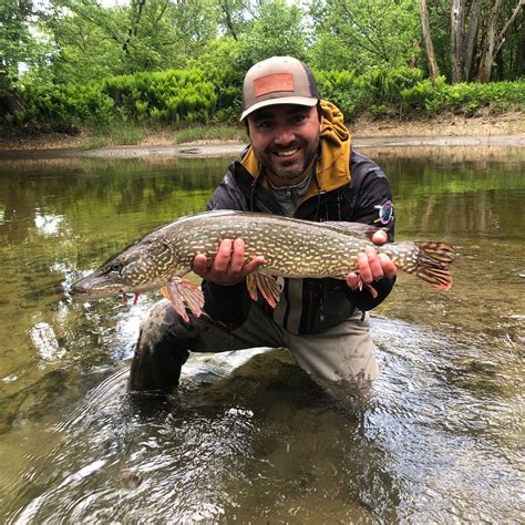 General Fishing Report June 8 2019 | Green Mountain Adventures