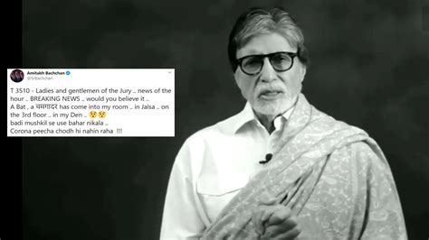 Coronavirus Lockdown Bat Enters Amitabh Bachchan S Jalsa Residence In