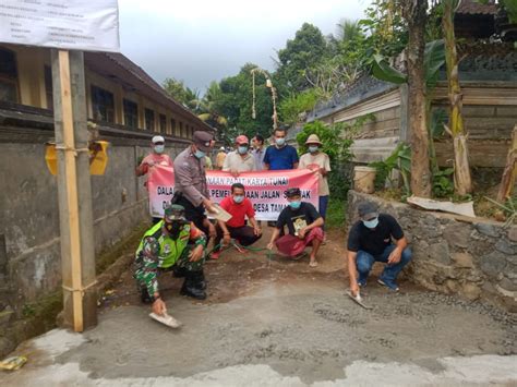 Padat Karya Tunai Desa PKTD Desa Tamanbali Desa Tamanbali