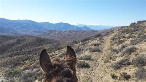 Mojave Desert | Gillian Larson