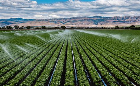 Fertirriego Dos Pasos En Uno Para El Cultivo Sostenible