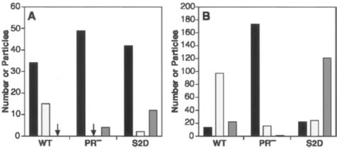 Proportions Of Virions With Immature Mature And Aberrant Morphologies