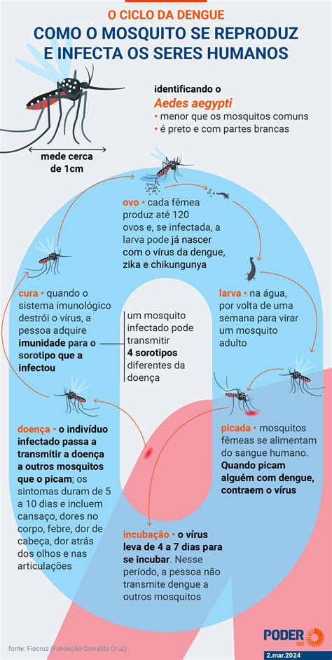 Saiba como a dengue é transmitida e as características da doença