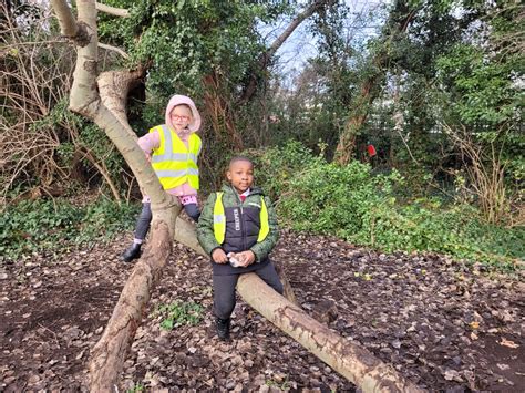 Year 1 Forest School Nest Building Daubeney Primary School