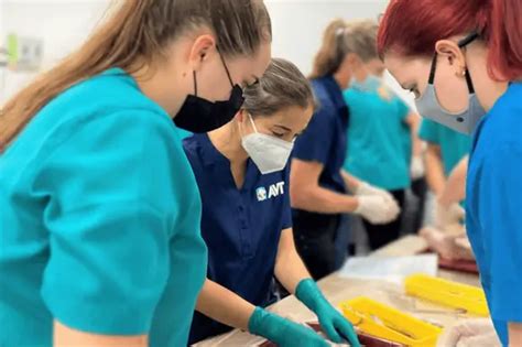 How Long Does It Take To Become A Vet Nurse Avt Perth Wa
