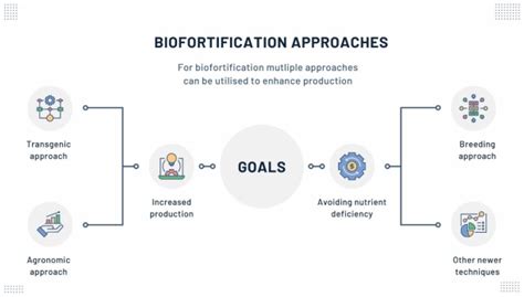 Sustainability Free Full Text Biofortification—present Scenario