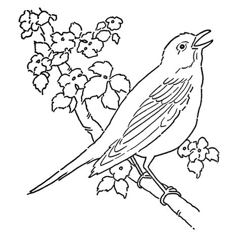 Line Drawing Of Birds - ClipArt Best