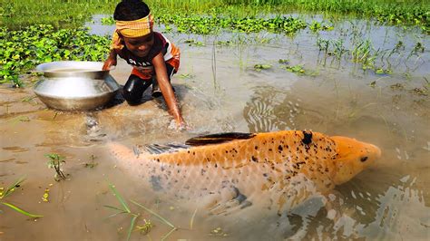 Amazing Traditional Boy Fish Catching By Hand In Water Amazing Hand