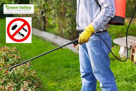 Dangers Of Diy Pest Control Why You Must Leave Pest Issues To The Pros Green Valley Pest