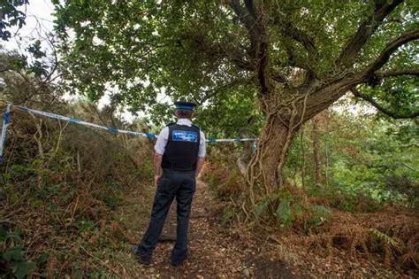 Man S Body Found In Wirral Woodland Liverpool Echo