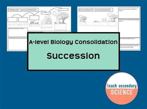 Succession A Level Biology Summary Worksheets Teaching Resources