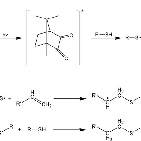 General Reaction Scheme Of Photoinduced Thiol Ene Cross Linking