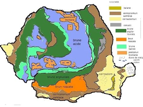 Vegetația României Epedia