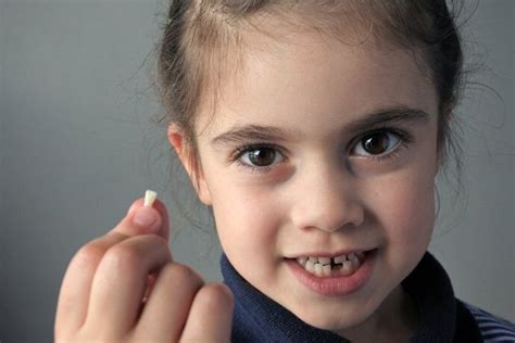 Dente De Leite Tudo Que Voc Deve Saber E Os Cuidados