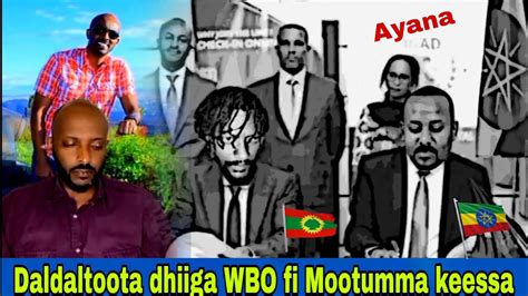 Dhugaa Adiin Jiru Kanuma AyanaMari WBO Fi Mootumma AGM Zehabesha