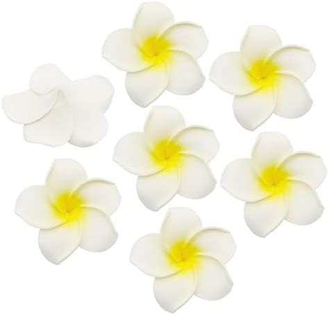 Amazon Healthcom Pcs Inch White Artificial Plumeria Rubra