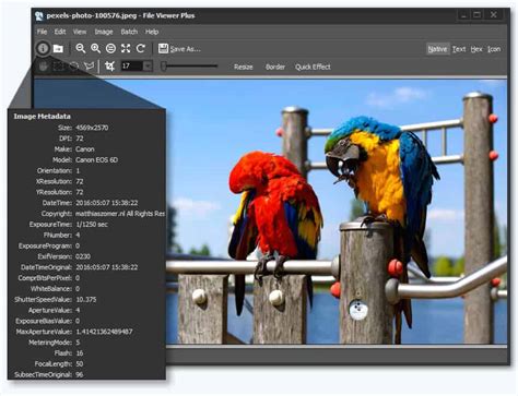 Top Photo Viewer Software For Windows