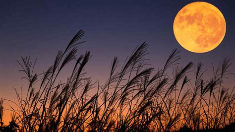 Superluna Del Raccolto Quando Splender La Prima Luna Piena D Autunno