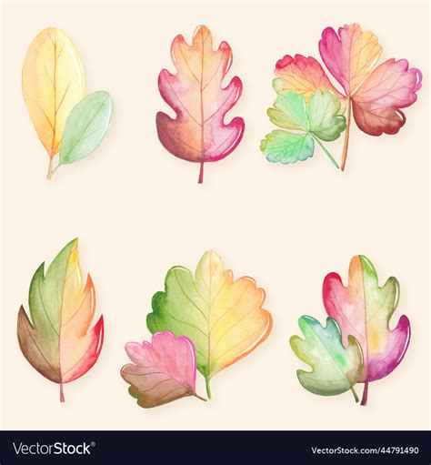 Watercolor Autumn Leaves Collection Design Vector Image