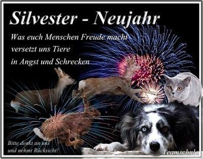 Pin Auf Tiere