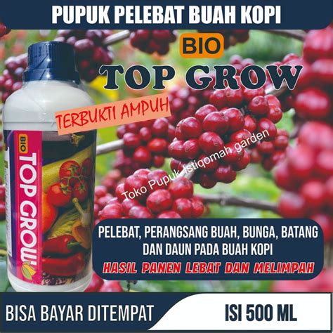 Jual Pupuk Pelebat Buah Kopi Paling Bagus Berbuah Lebat Dan Besar Bio