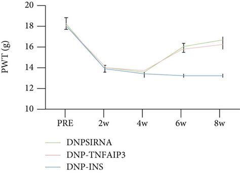 Expression Changes Of Tnfaip Erk Mapk And Nf Kb In The Posterior