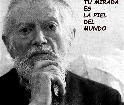 Tu Mirada Es La Piel Del Mundo Alejandro Finisterre En Tu Memoria