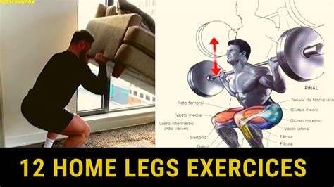 12 Meilleurs exercices musculation jambes à domicile LEGS HOME WORKOUT